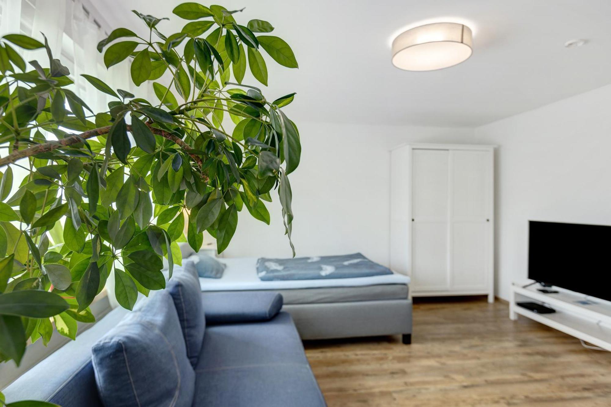 Ferienwohnung Pepe 多瑙艾辛根 外观 照片